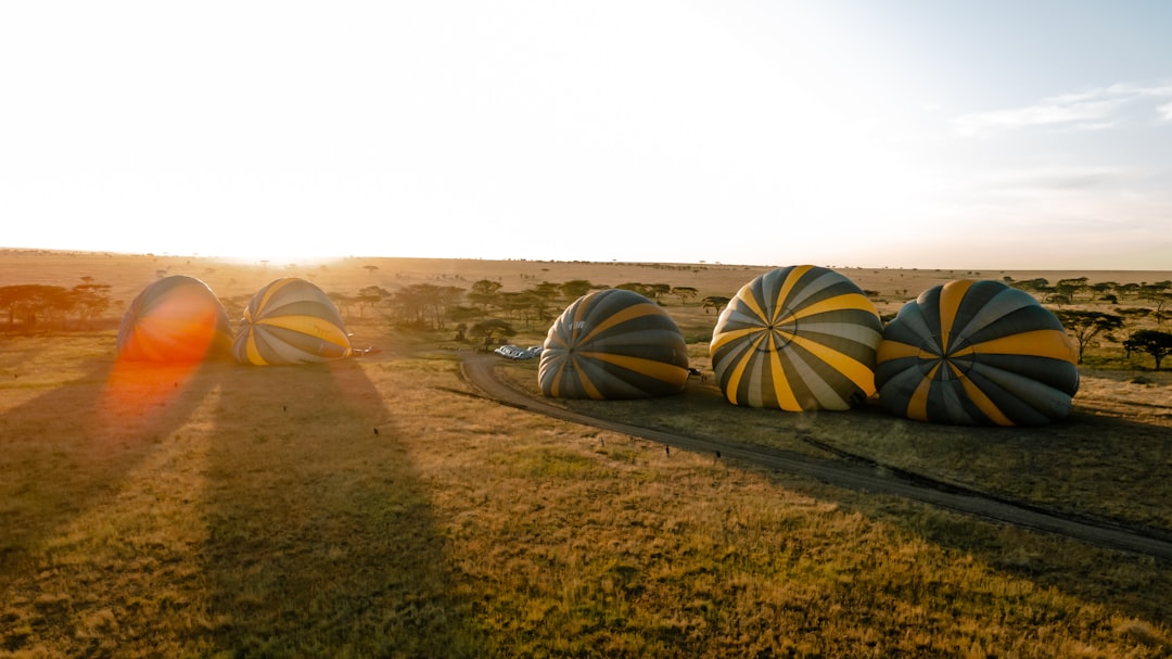 a group of hot air balloons sitting on top of a lush green field