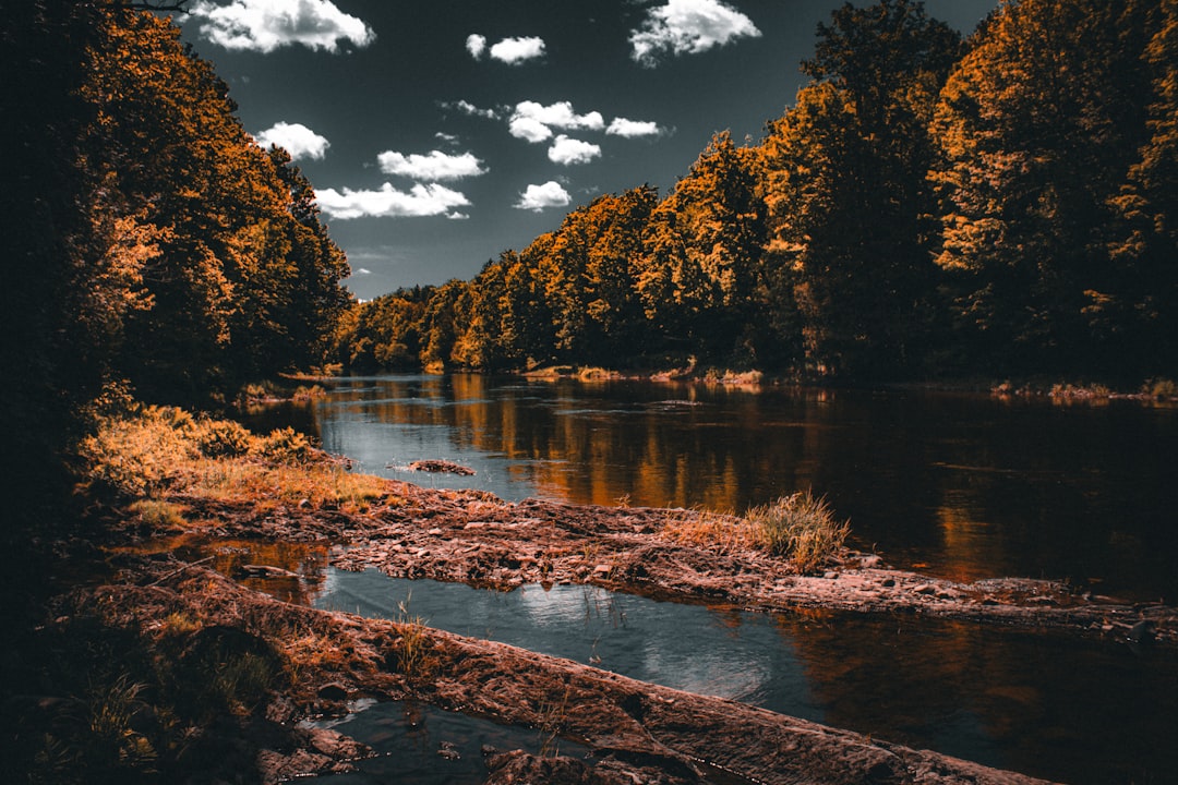 A river surrounded by trees under a cloudy sky