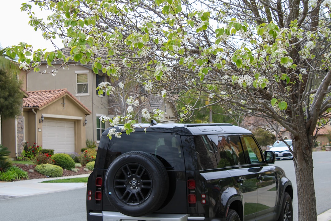 A black suv parked under a flowering tree.