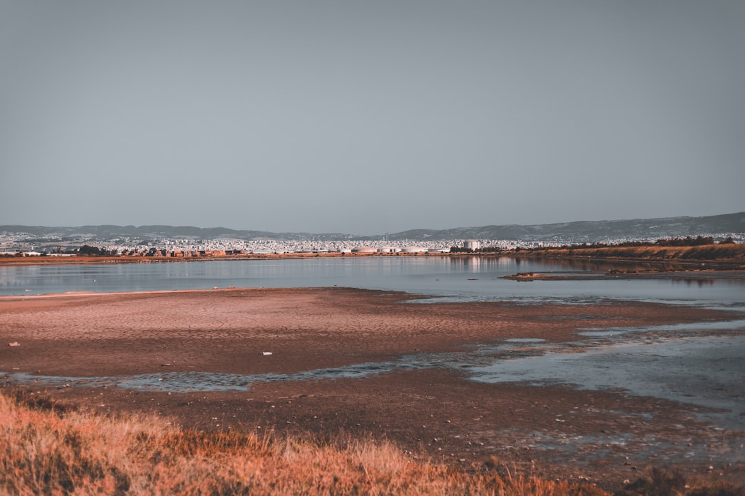 a large body of water surrounded by brown grass